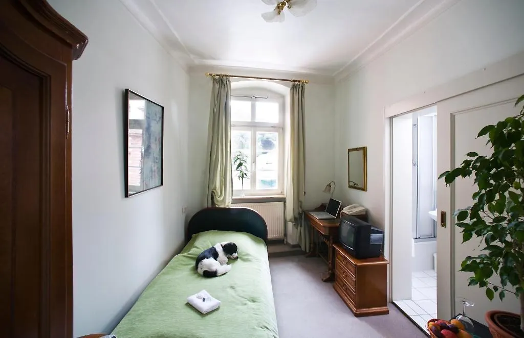 Hotel Goldener Hecht Heidelberg